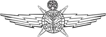 Cyberspace Operator Badge insignia
