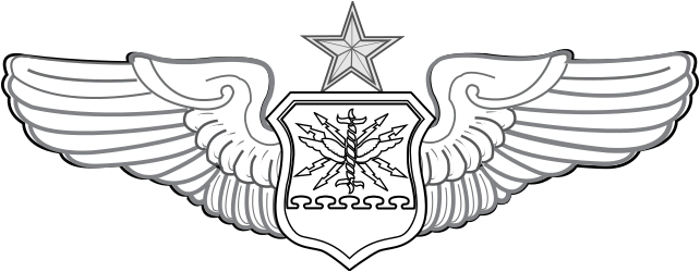 Air Force Combat Systems Officer Badge insignia