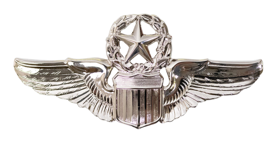 Air Force Pilot Badge insignia