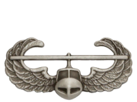Air Assault Badge insignia