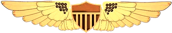 Coast Guard Aviation Insignia insignia