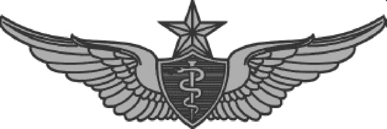 Flight Surgeon Badge insignia