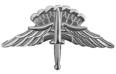 Military Freefall Parachutist Badge insignia