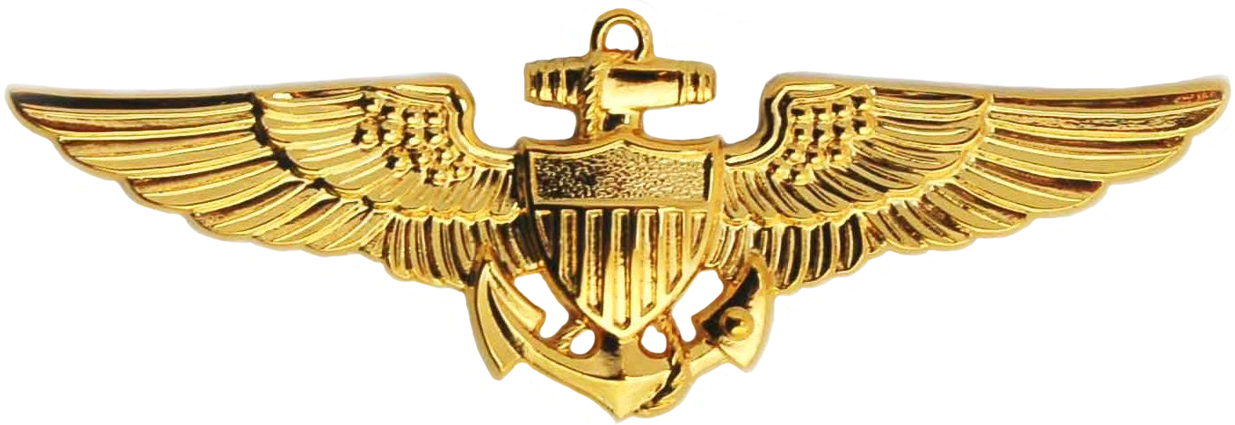 Naval Aviator Insignia insignia